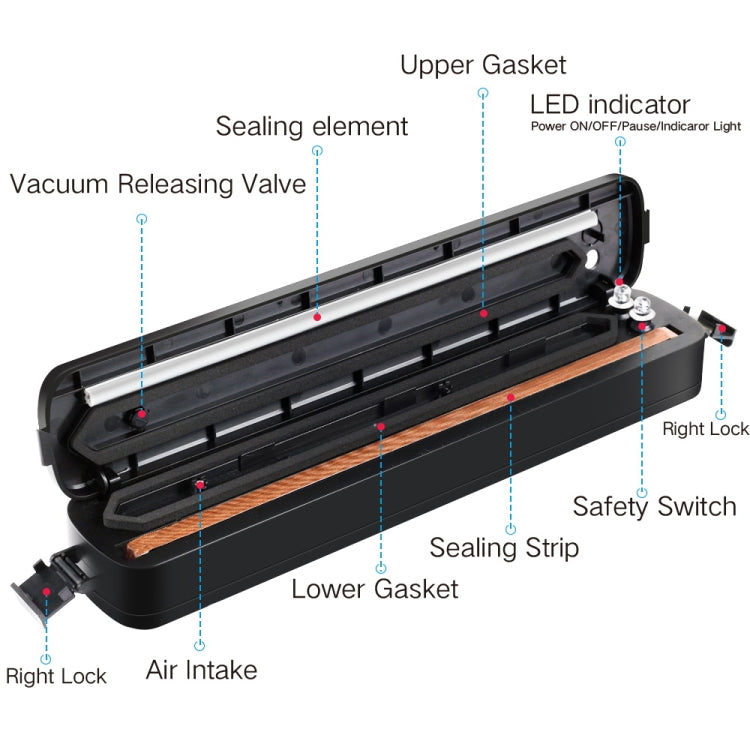 Automatic Food Vacuum Sealer – Compact Kitchen Food Saver