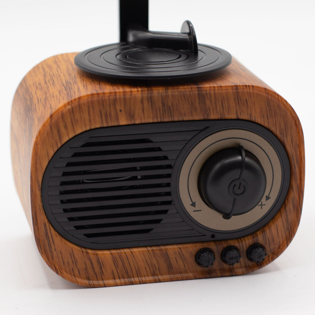 Retro Mini Gramophone Bluetooth Speaker & FM Radio
