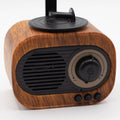 Retro Mini Gramophone Bluetooth Speaker & FM Radio