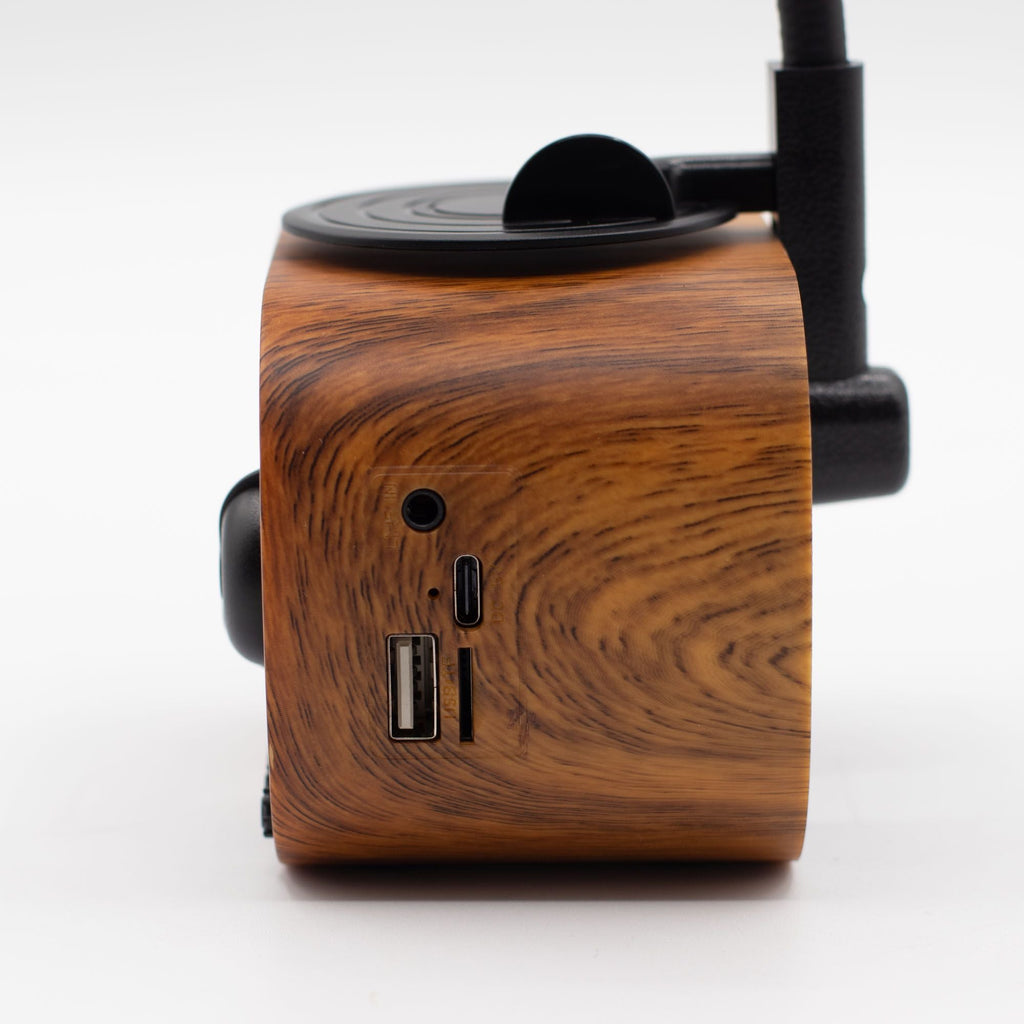 Retro Mini Gramophone Bluetooth Speaker & FM Radio