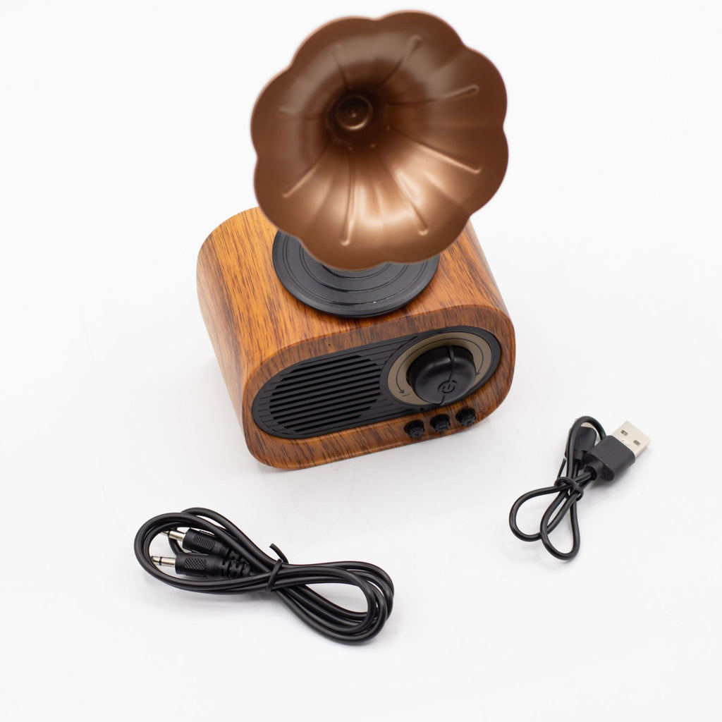 Retro Mini Gramophone Bluetooth Speaker & FM Radio