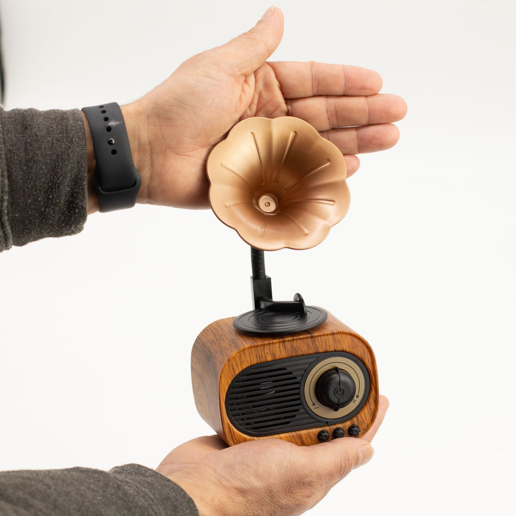 Retro Mini Gramophone Bluetooth Speaker & FM Radio