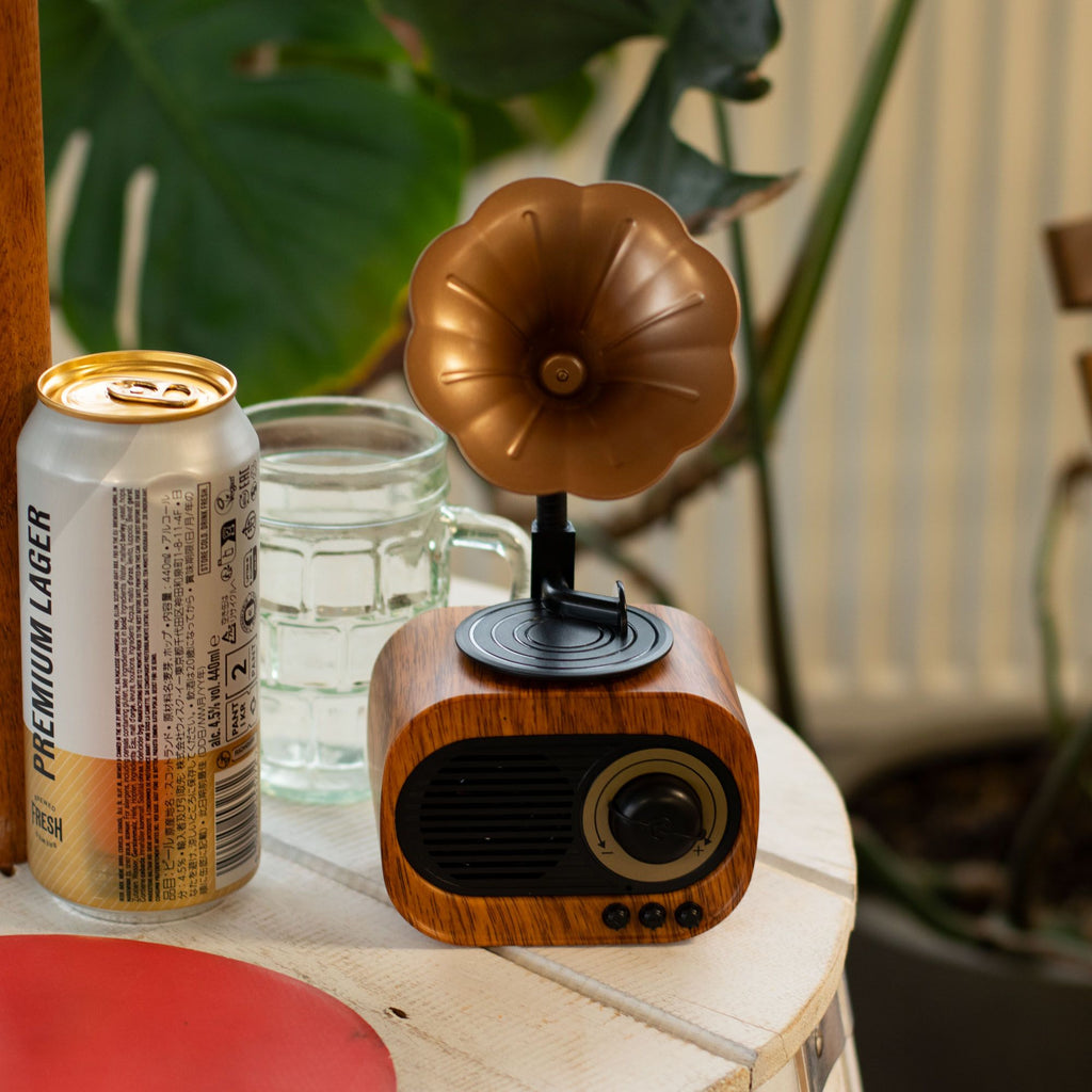 Retro Mini Gramophone Bluetooth Speaker & FM Radio